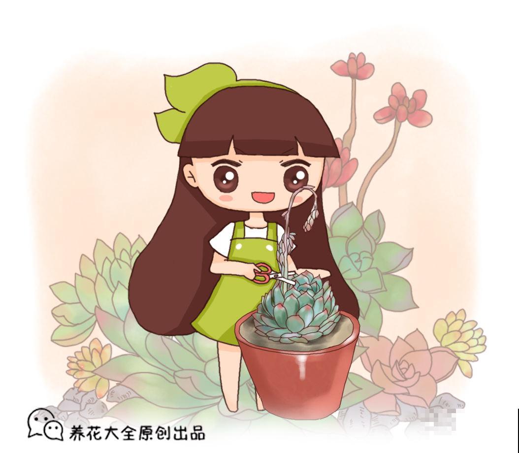 这花一开花就得剪，不要留花箭，否则植株黄叶、枯萎