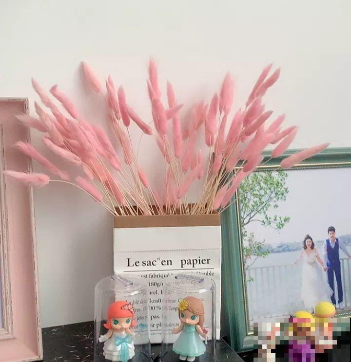路边野草拽一把，插在瓶里，全家人都喜欢！
