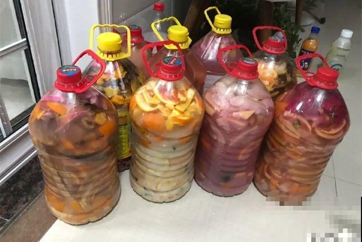 家里植物都这样了，换盆是关键，啥花都能养长久！