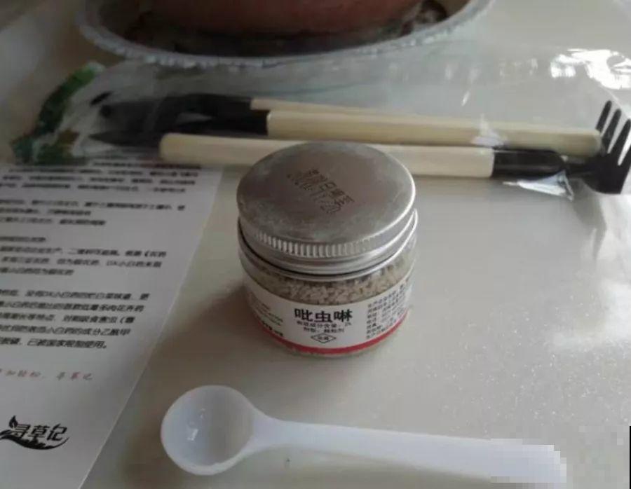 土里浇点它，专治小黑飞，虫子不招叶子绿油油！