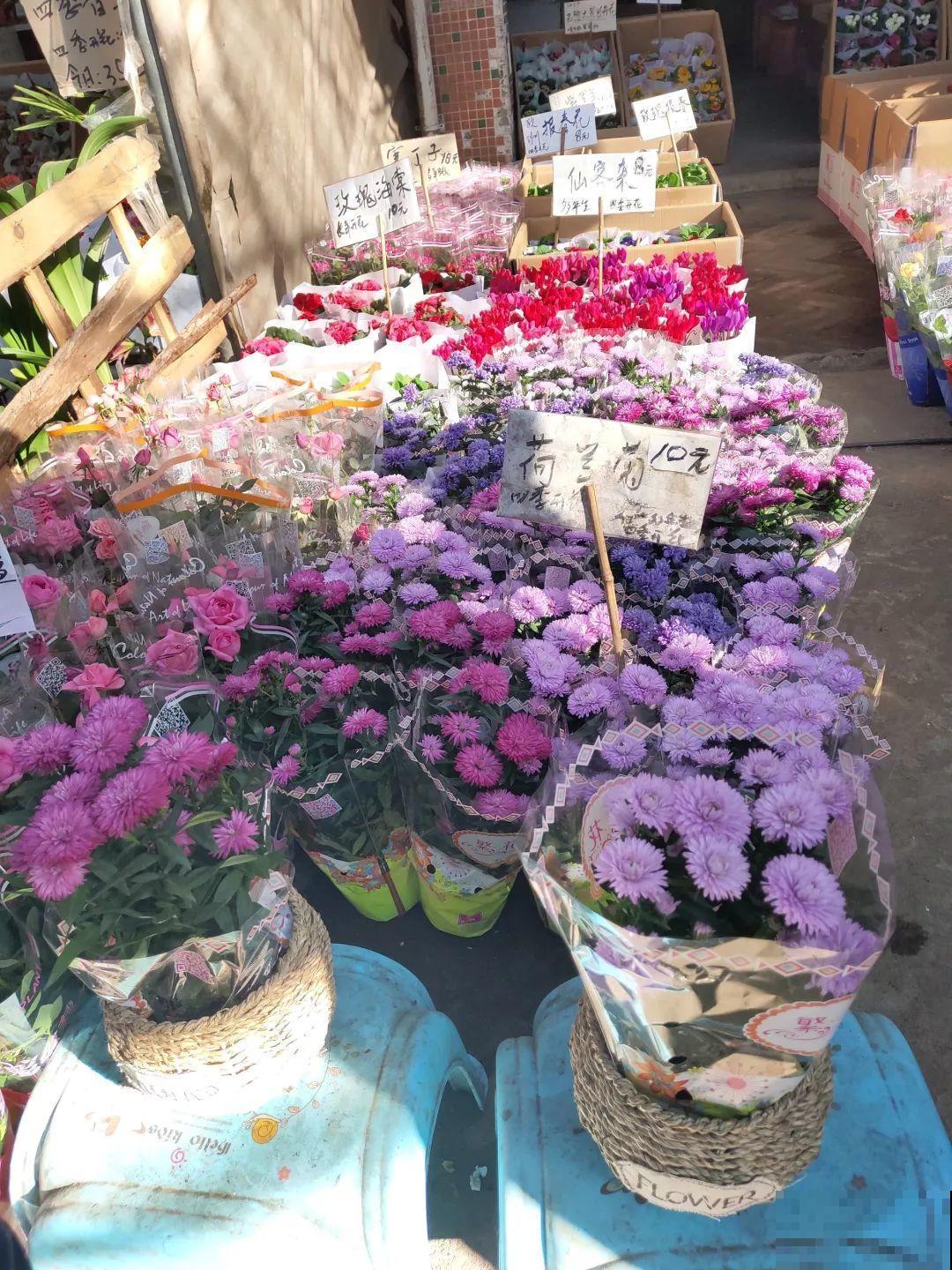 花市有你想象不到的魅力，便宜又好看，过年买回一大堆！