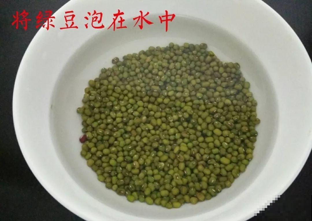 现在养盆它，10天变成小森林，过年就能上桌吃！