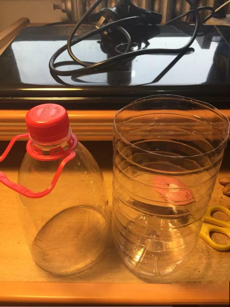 1根绳子泡水里，1个月不浇水也没事，蝴蝶兰10年不烂根！