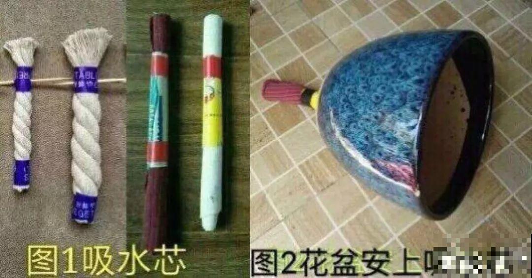 这种花盆要少用，稍微不注意，养花就容易黄叶烂根！