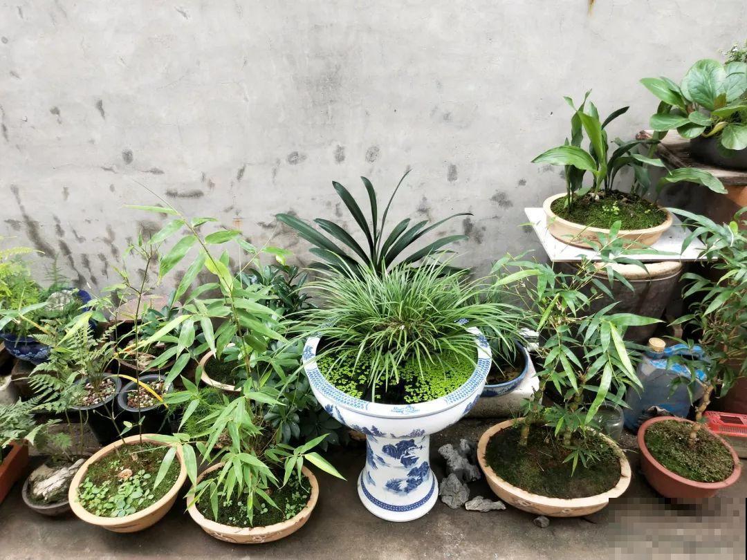 想养好花，就得付出劳动，从开花到结果，无一不是美的！
