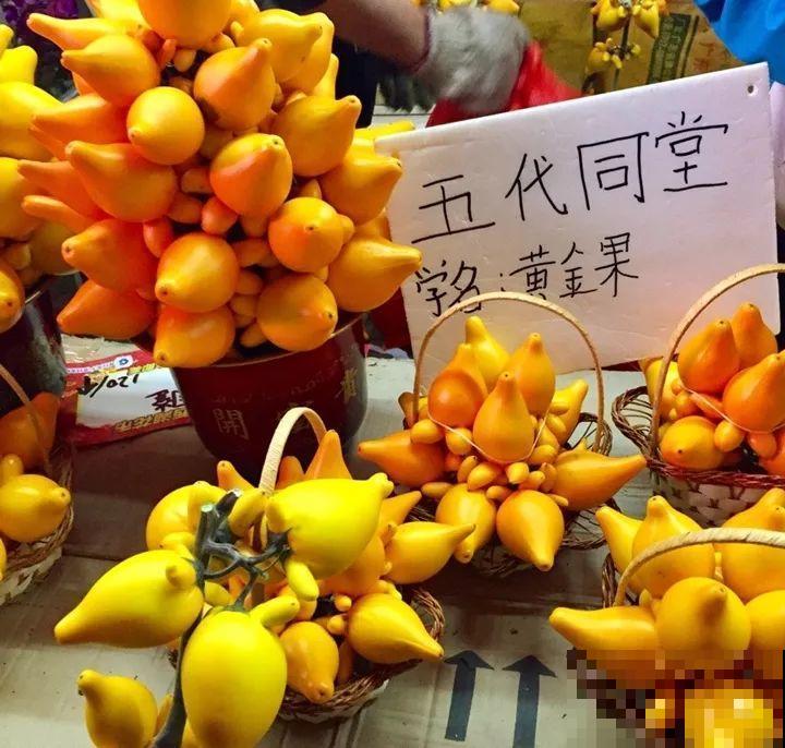 20种花再冷也不怕，过年正好开花，现在养还来得及！