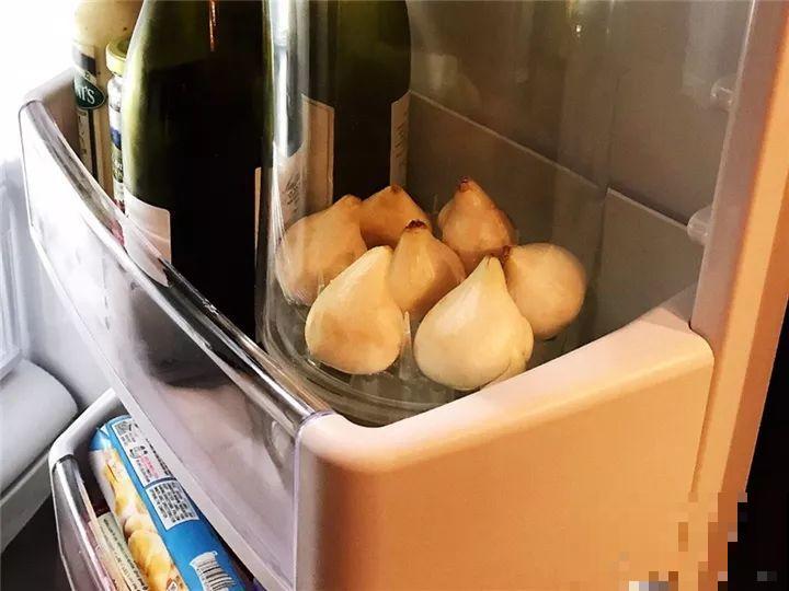 冬天养个大肚子花，不怕冷爱开花，放客厅最有气质！