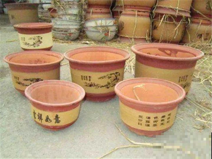 这种花盆要少用，稍微不注意，养花就容易黄叶烂根！