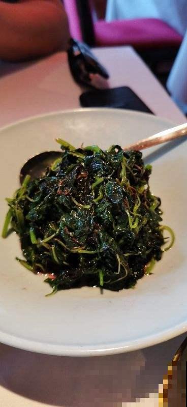 后院长满一墙野草，没想到一鉴定是绞股蓝，这下发财了！