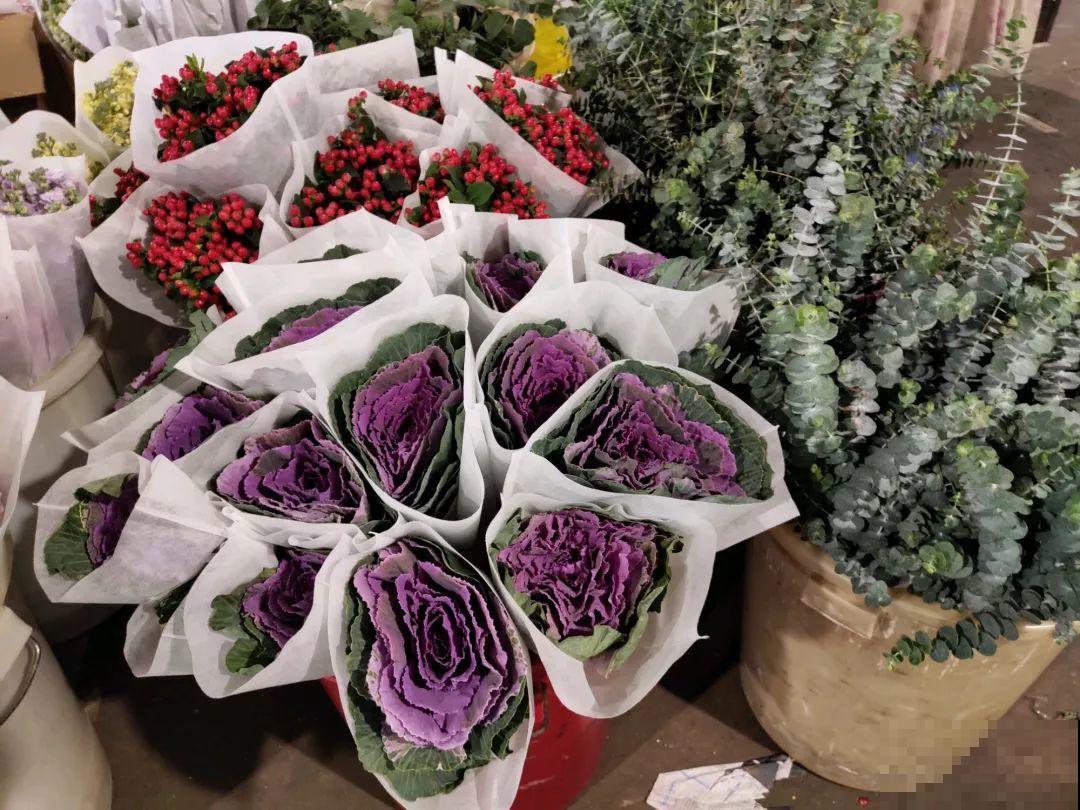 12月逛花市，这花好看又好养，遇到赶紧抱回家！