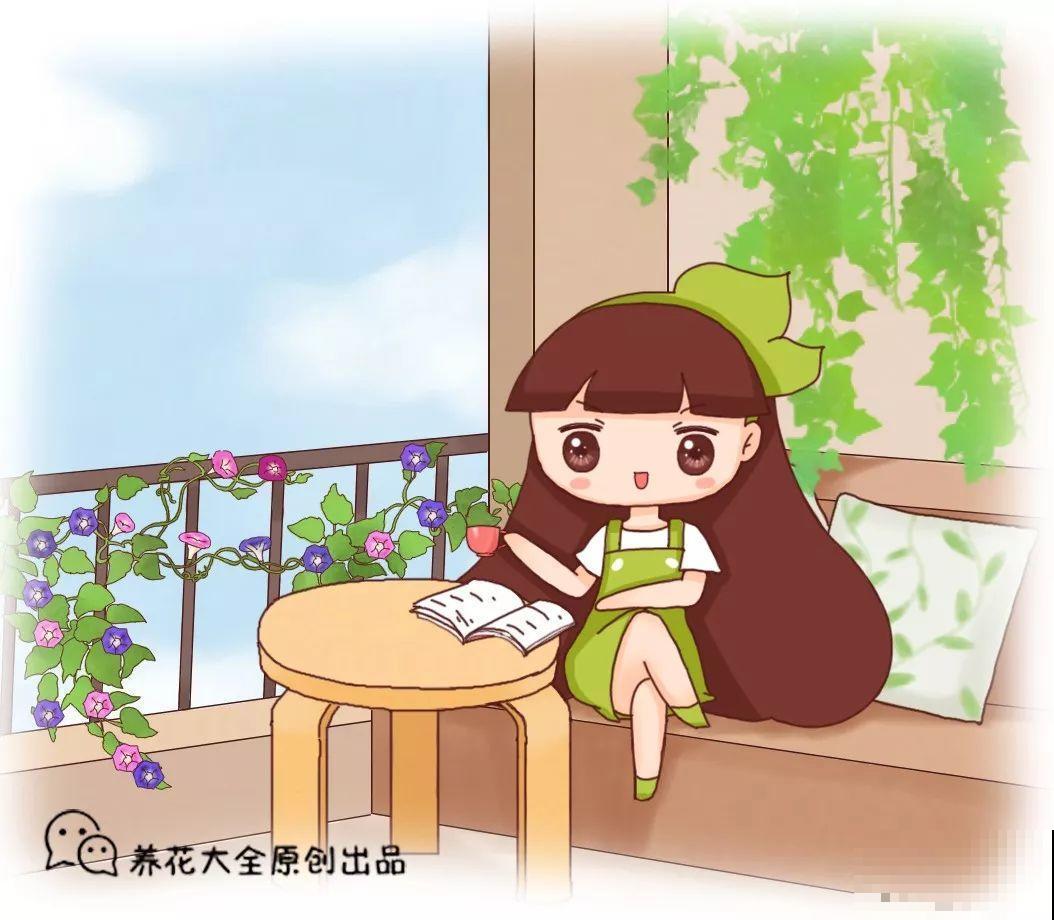 耐阴耐寒的4种花，个个都比绿萝美，还能长成花帘子！