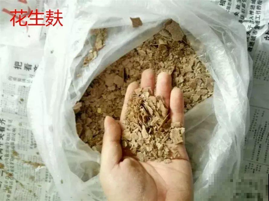 淘米水里加上它，没有异味肥效翻倍，给花用点叶子绿油油！