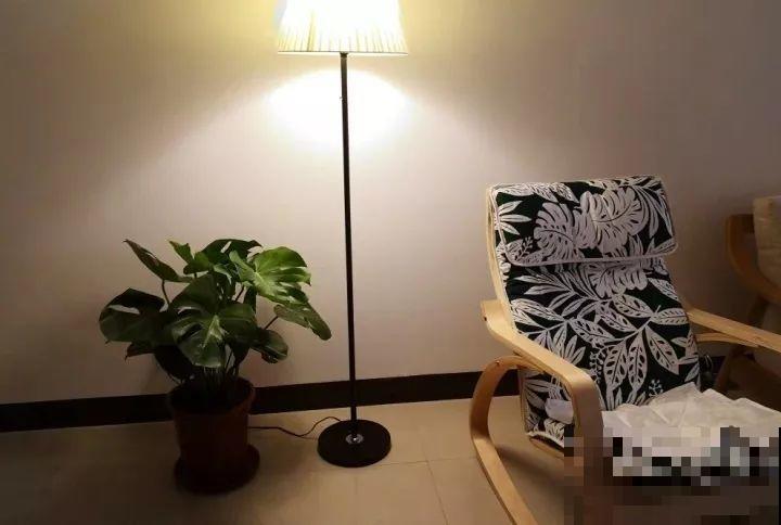 耐阴花摆客厅，光再弱也能蹭蹭长，净化空气效果比绿萝好多了！