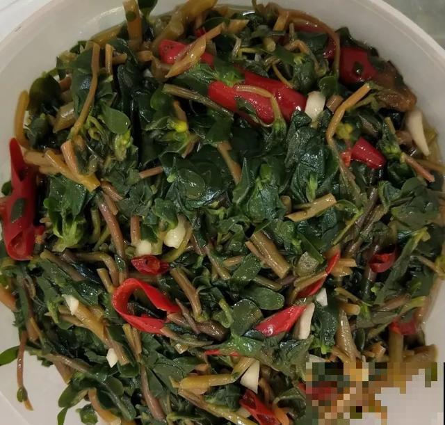 6种野菜最好吃，春天一定不能错过，炒鸡蛋包饺子真美！