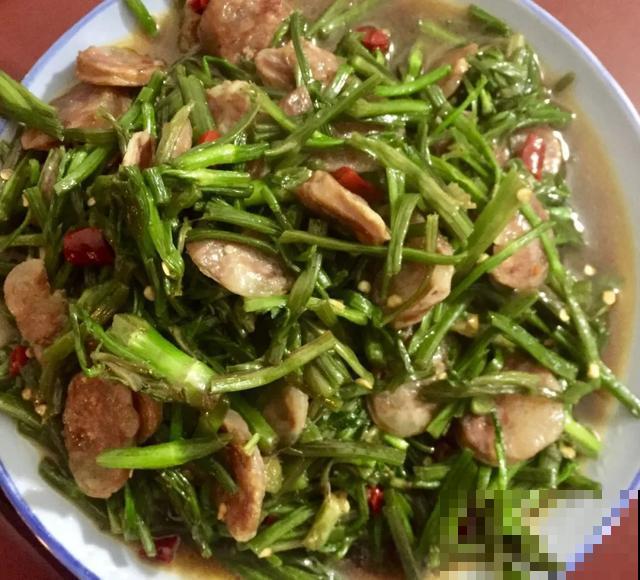 春天野菜赛黄金，教你2种做法，好吃又养生！