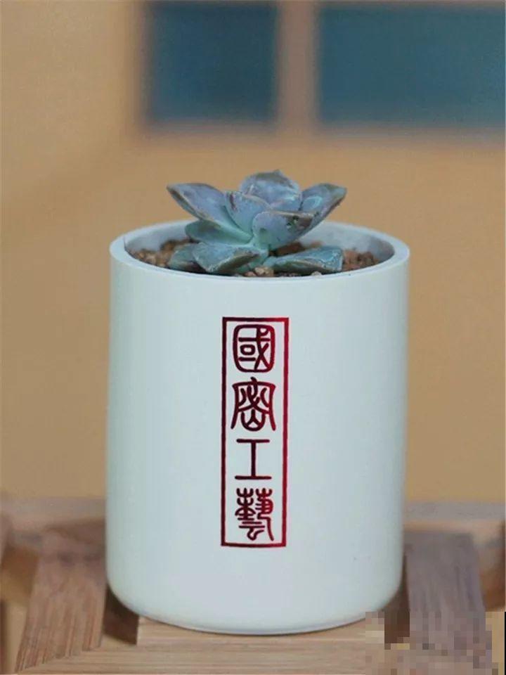 酒瓶子舍不得扔，做成花盆，美到你认不出来！