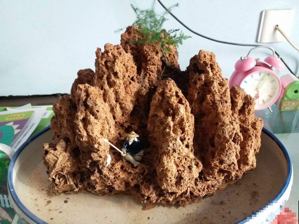 把花种在“石头上”，价格翻一倍，别人给钱都不卖