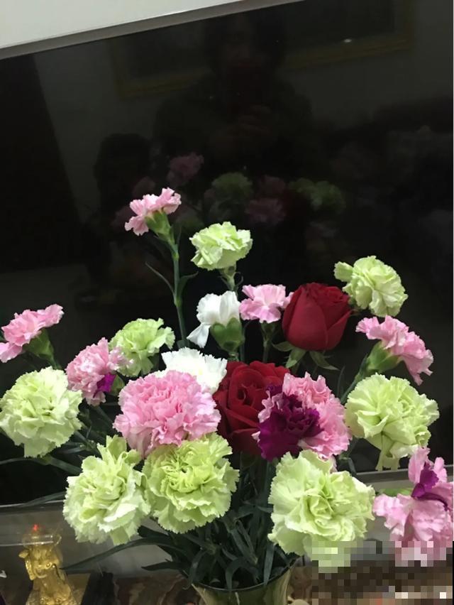 这花爆开50朵，剪几枝送人倍有面子，比买鲜花强多了！