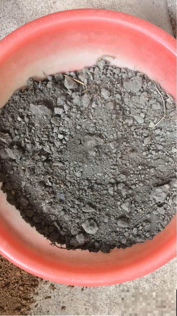 土里加两滴它，碱性变酸性，花儿都肥壮