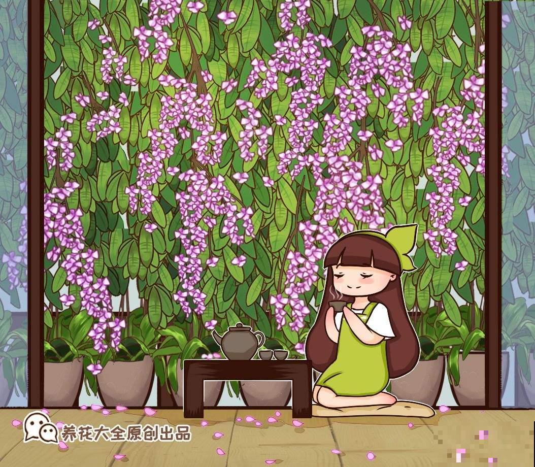 家里养这花，摆在阳台超抢眼，隔着老远就看到了