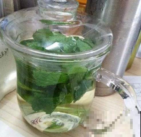 这种植物可以做菜，叶子摘下能泡茶，养人又养眼！