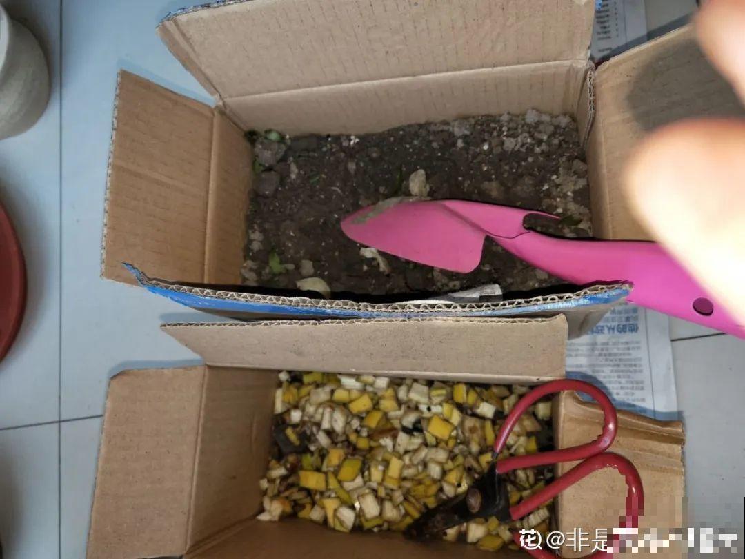 换下来的旧土别着急用，教你一招，跟新土没差！