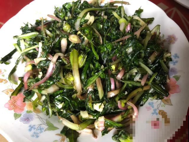 春天野菜赛黄金，教你2种做法，好吃又养生！
