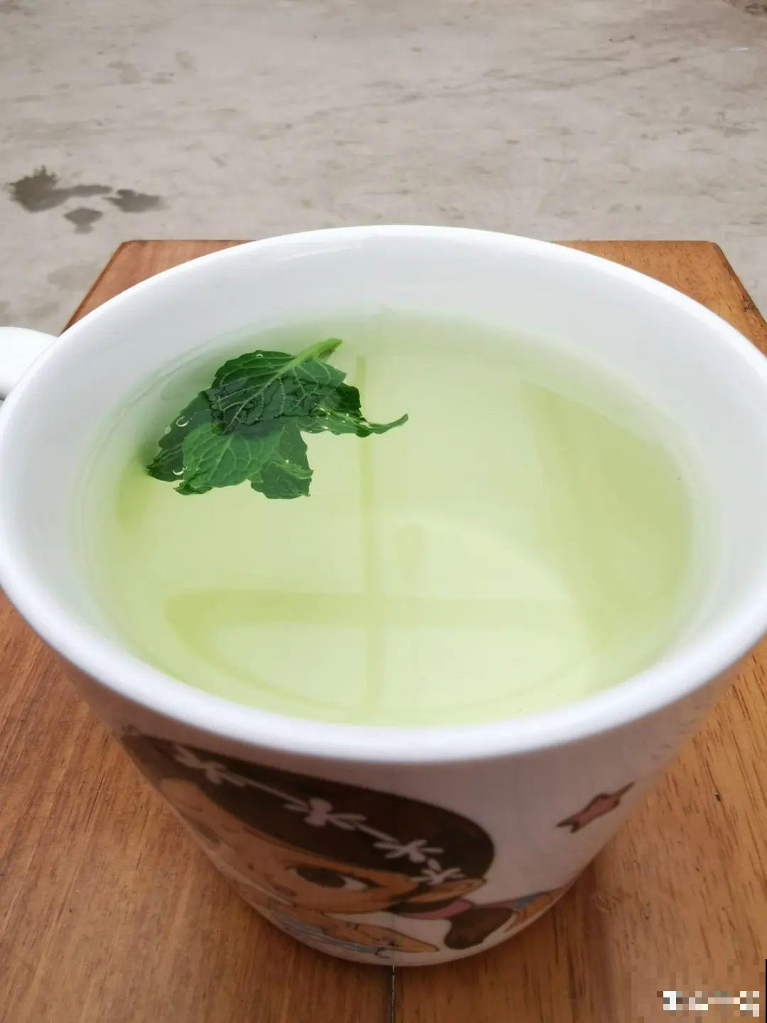 自带香味还能泡水喝的6种花，阳台养一盆，堪比小药箱！