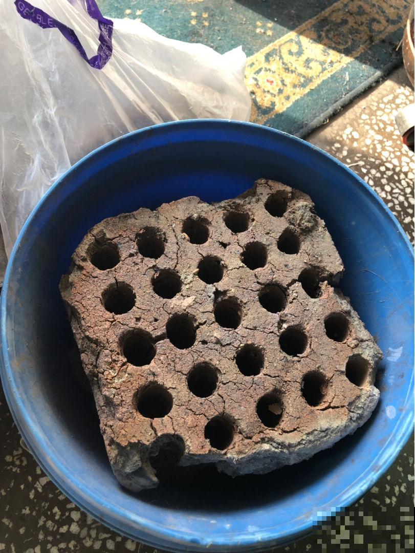 垃圾桶周围逛两圈，捡到3个宝，花和土都有了