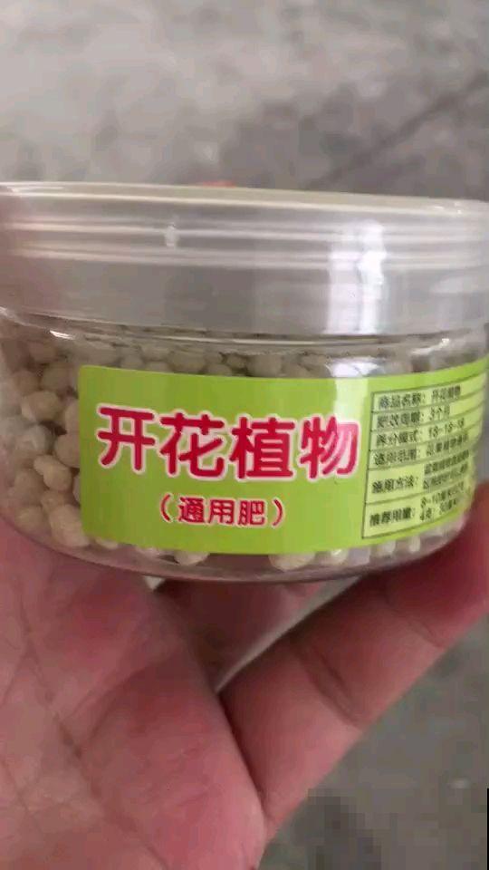 土里撒点“小圆球”，肥效特强，花吃了蹭蹭长