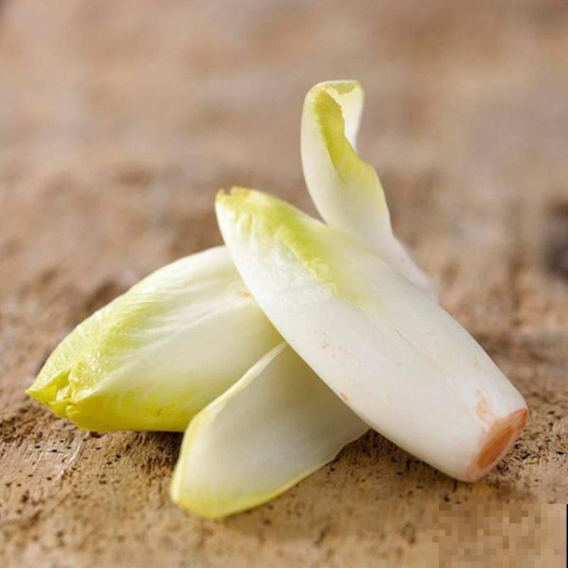 买几棵这蔬菜，简直是拥有聚宝盆，吃完还能往外长！
