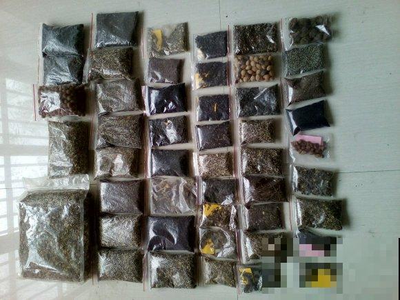 春天是养花的季节，该播种修剪、扦插施肥了，快看你都做了没？