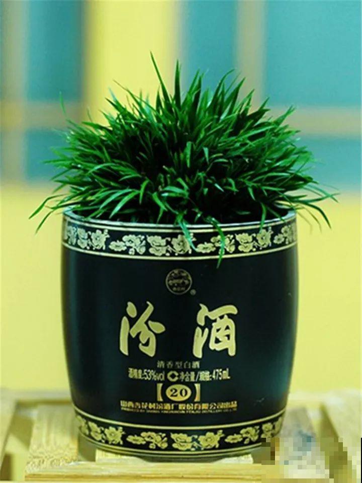 酒瓶子舍不得扔，做成花盆，美到你认不出来！