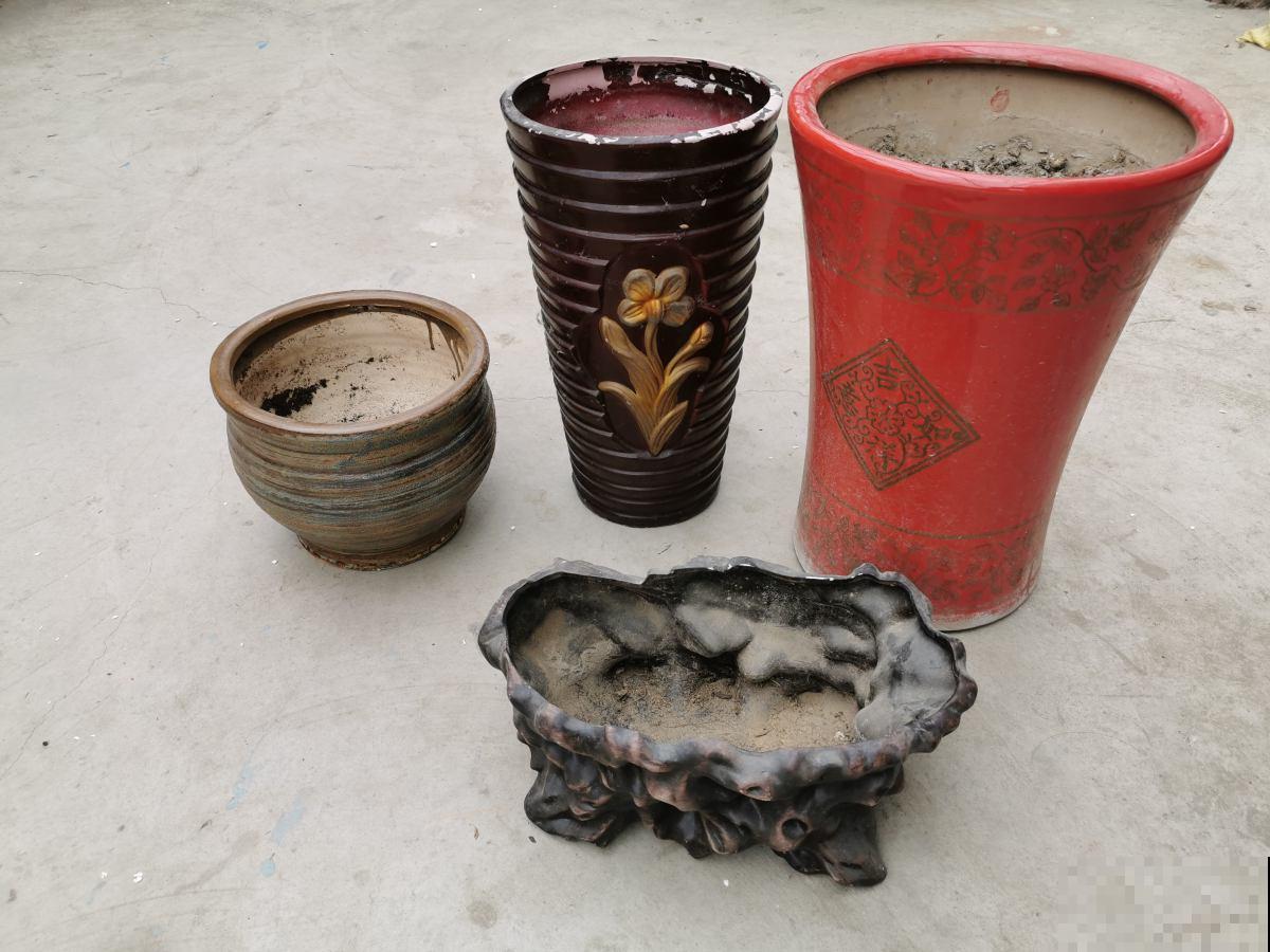 出门溜一圈，路边见到这些“垃圾”，拿回家都是养花“宝贝”