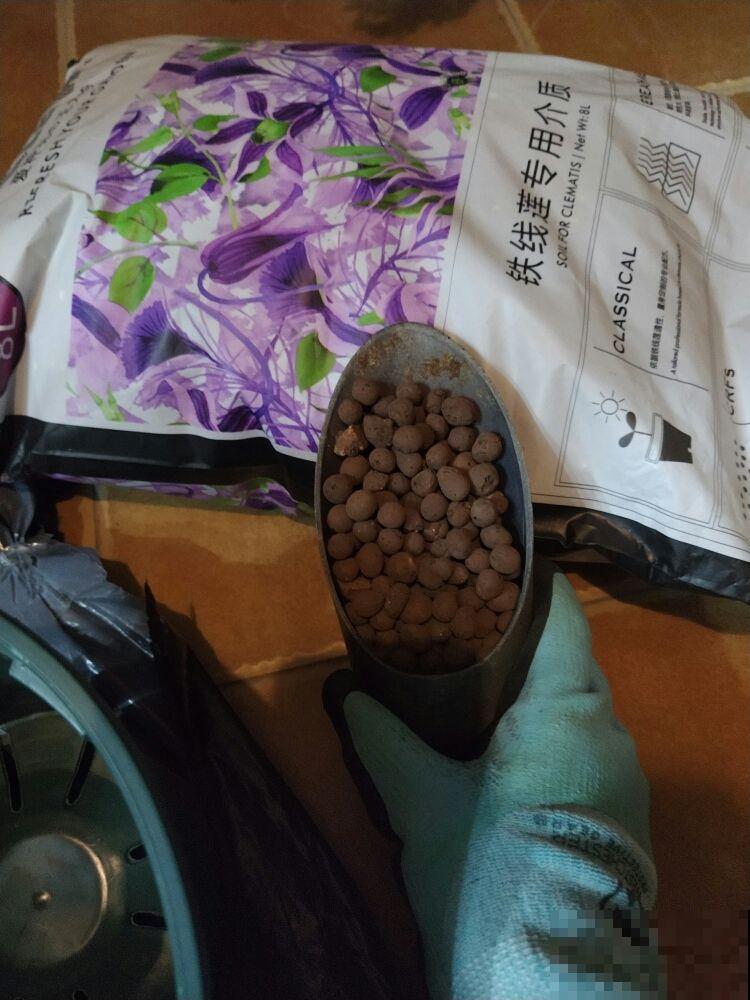 用这种土养花，不烂根、不黄叶，花蹭蹭长