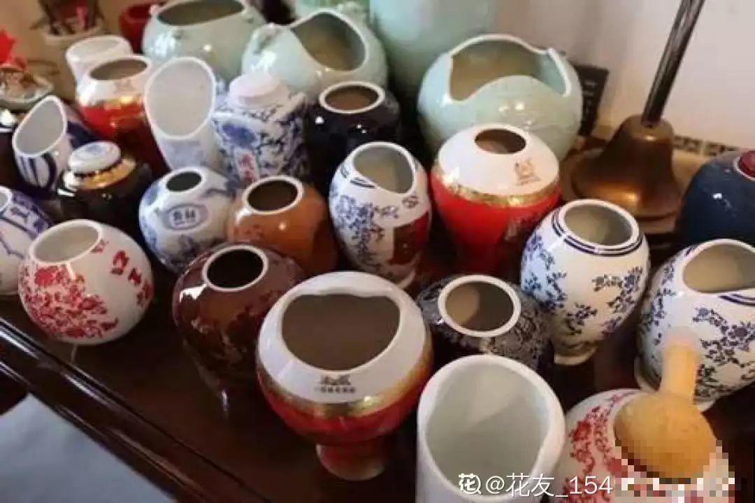 过年的酒瓶别扔，种上多肉美翻天，花盆都不用买了！