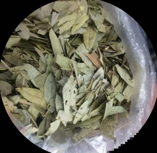 农村遍地是的“金鸡米”，长得好像嫩竹叶，你见过吗！