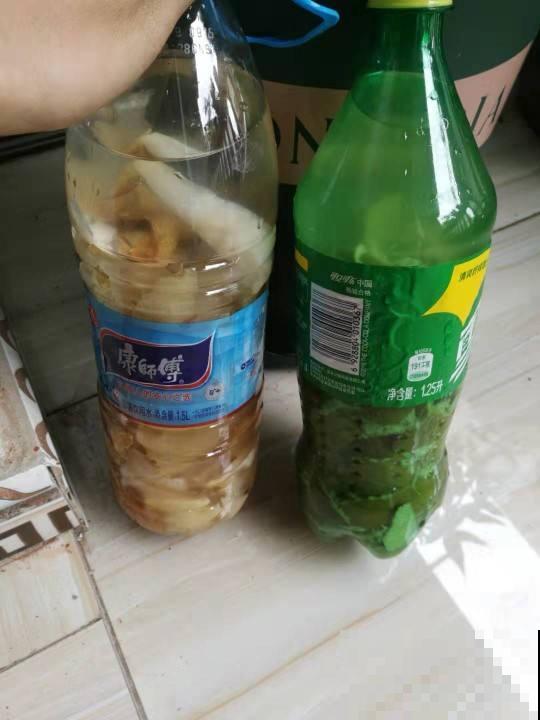 扔桔子皮就是扔钱，都留好了，拿来做成“酸酸水”，花吃了疯长