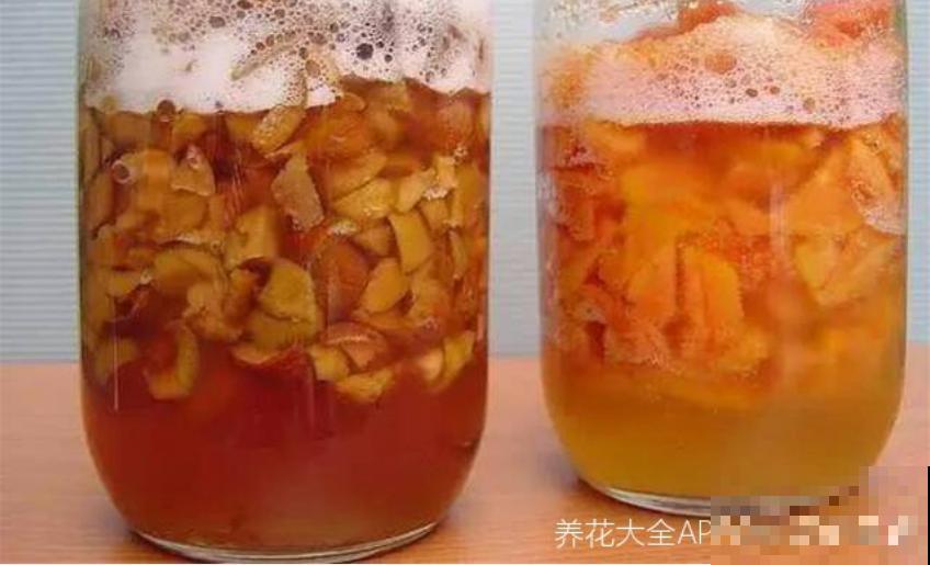 橘皮、柚子皮别扔，泡水里成大补肥，养花太有用了！