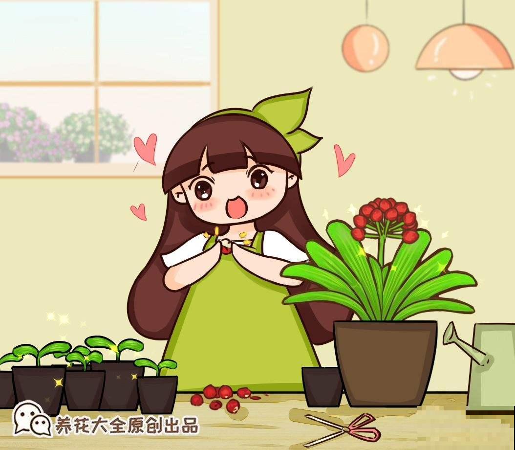 现在正当播种时，掌握播种“5个”小技巧，嗖嗖蹿小芽