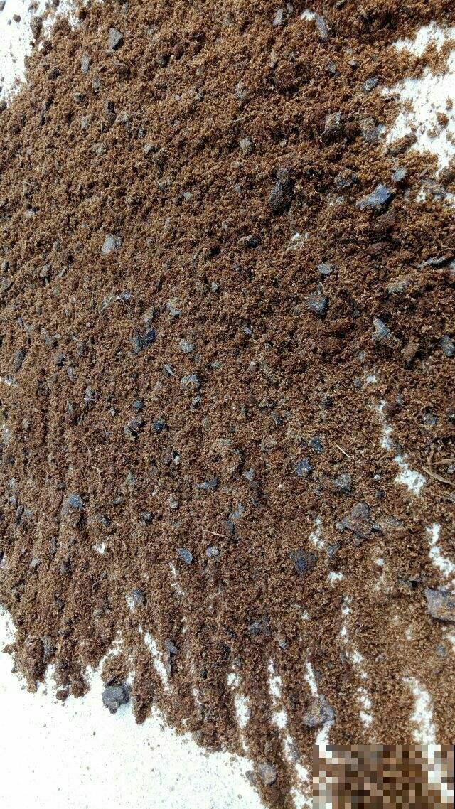 土里掺点它，俩月变成好花土，给花用连肥料都省了！