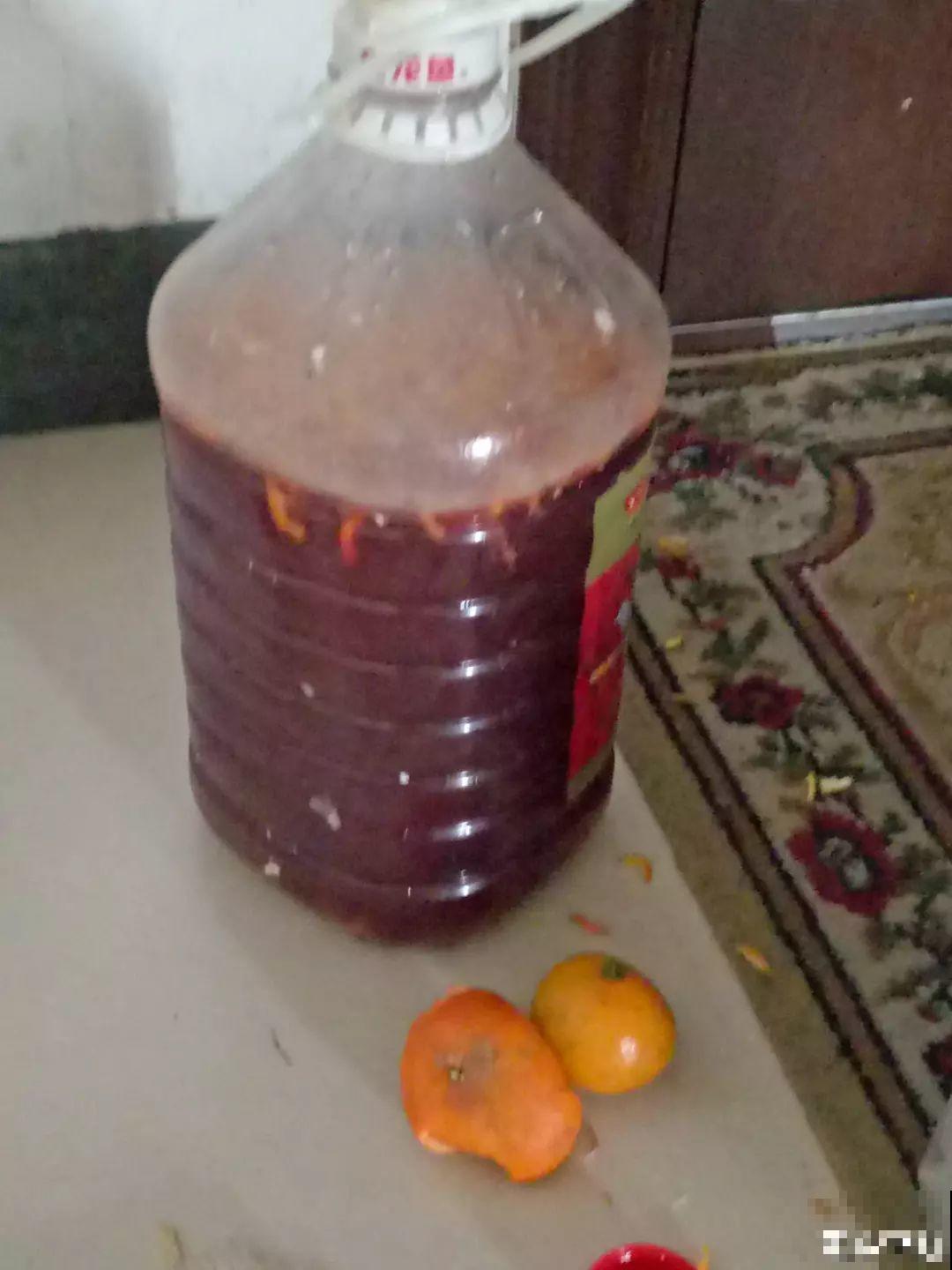 鸡蛋壳这么用，啥效果也没有，反而招了满盆小虫子！