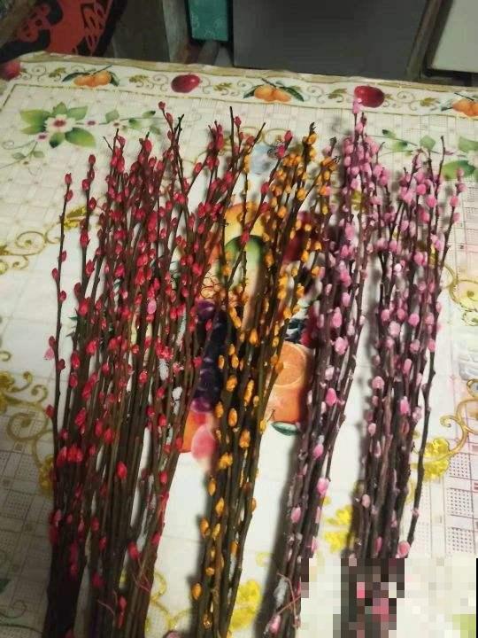 都说它是假花，没想到喂点水，就能开满枝！