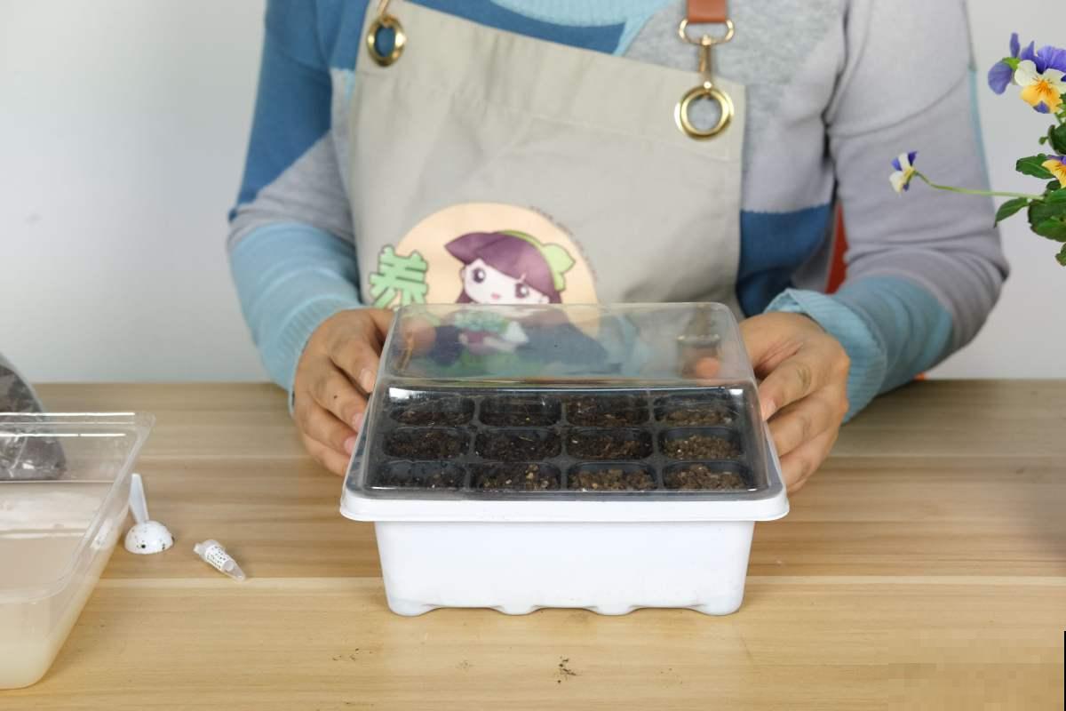 现在正当播种时，掌握播种“5个”小技巧，嗖嗖蹿小芽