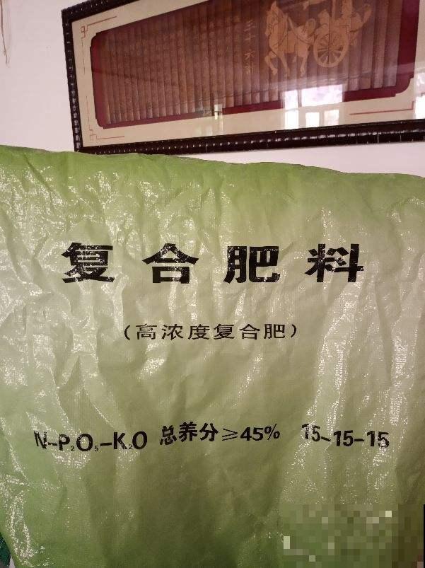 立春后，花儿都快醒了，该给花喂点肥了