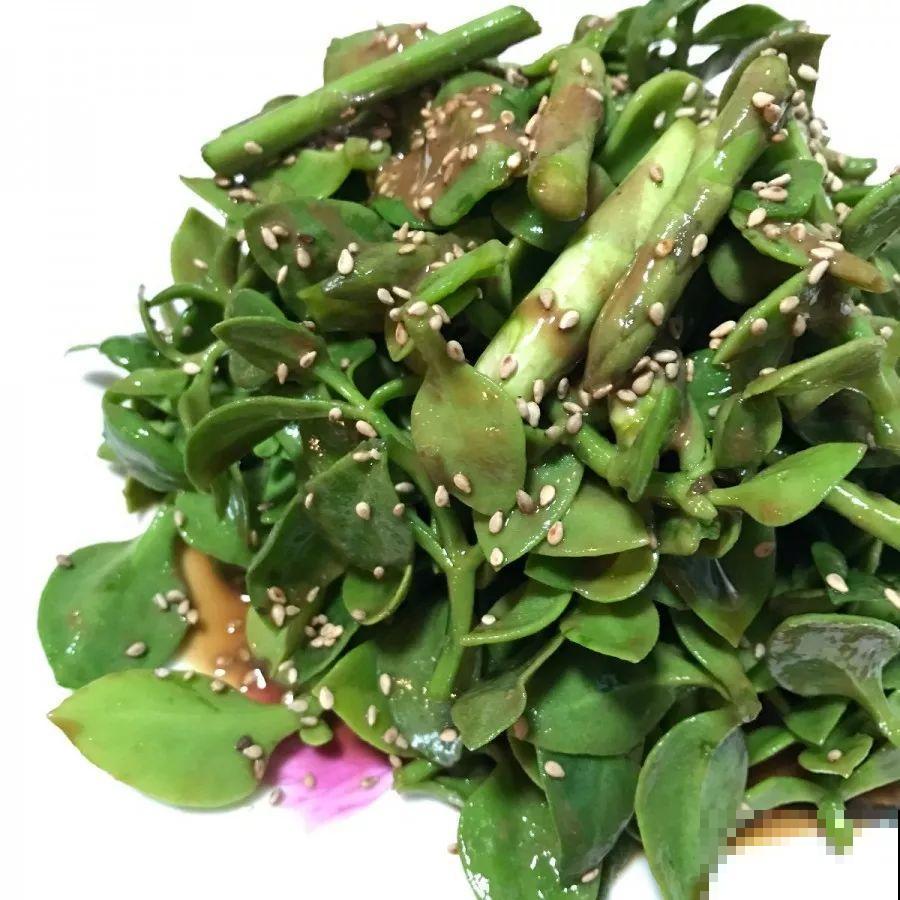 家里没菜了，我把这花炒了吃，老妈气得要打人！