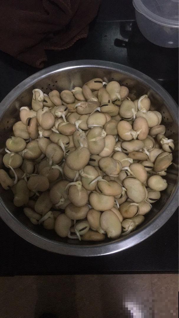 邻居在阳台种了3种菜，半个月就长成，掐一把炒菜，真香！