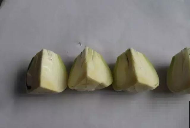 谁说这植物烂了就没救的？只要一个小刀片，烂成啥样也能活！