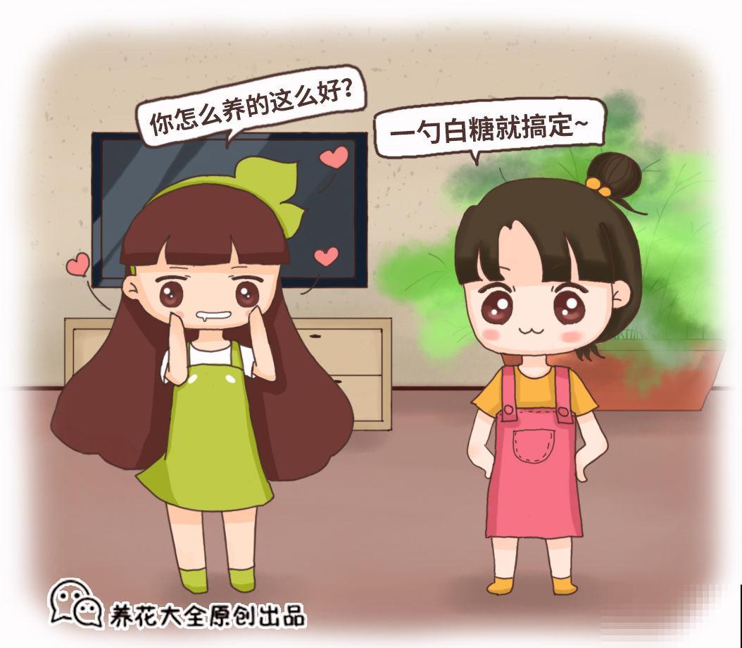 绿萝喂勺白糖水，叶子嗖嗖爬上墙，特好使