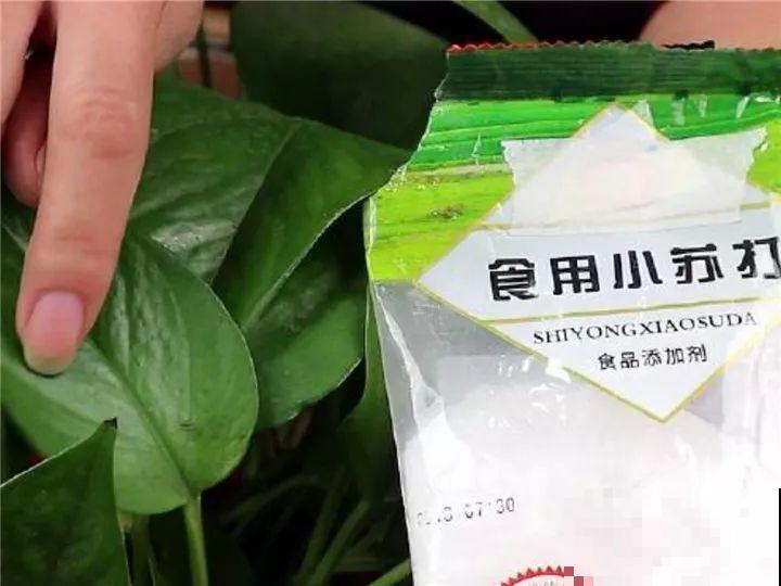 冬天不方便换盆？那就撒把这种肥，长得壮还能防烂根！